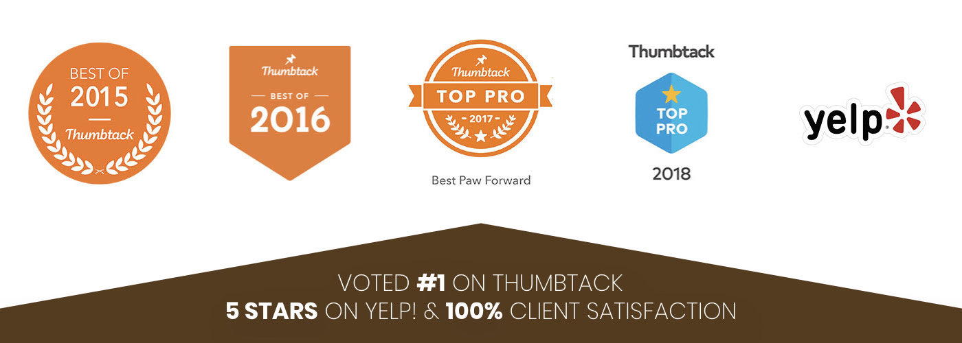 Voted #1 on Thumbtack + 5 Stars on Yelp! + 100% Client Satisfaction